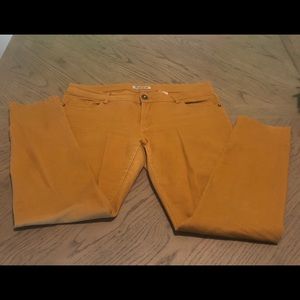 Experial Mustard Jeans